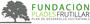 Fundación para el Desarrollo Sustentable de Frutillar