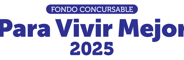 PVM 2025 logo